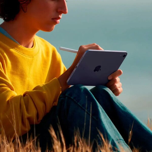 Person sitting outside in a field using an iPad mini with a apple pencil